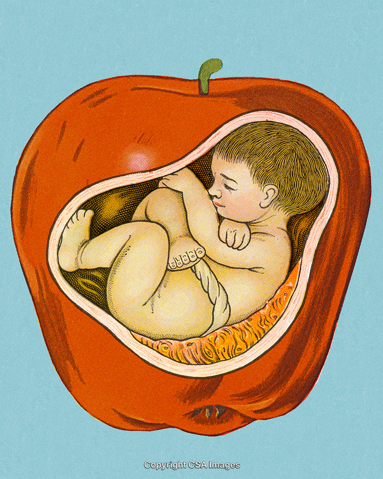 Surreal Illustration of a Baby Enclosed Within an Apple Cutaway