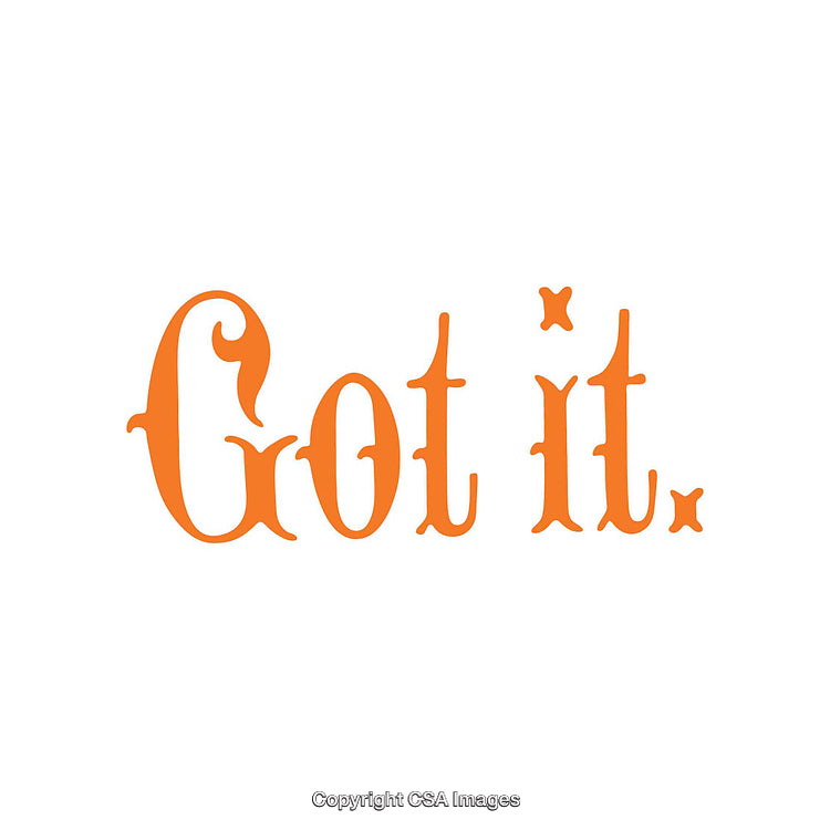 Stylized Orange Statement Text on White Background