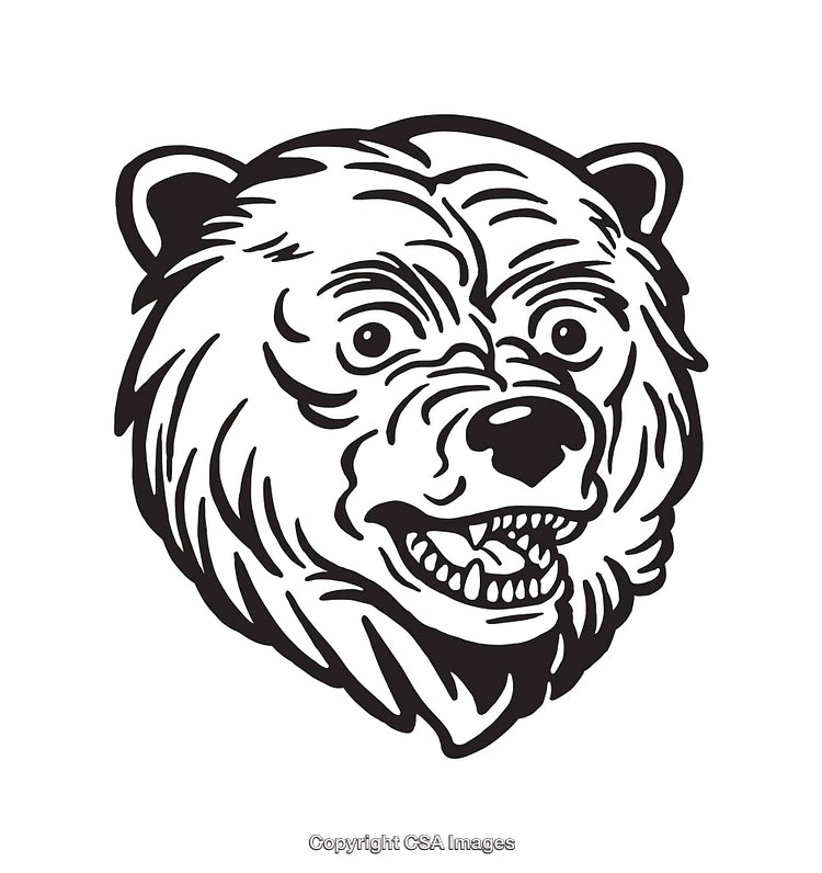 Detailed Black and White Illustration of a Fierce Bear Head