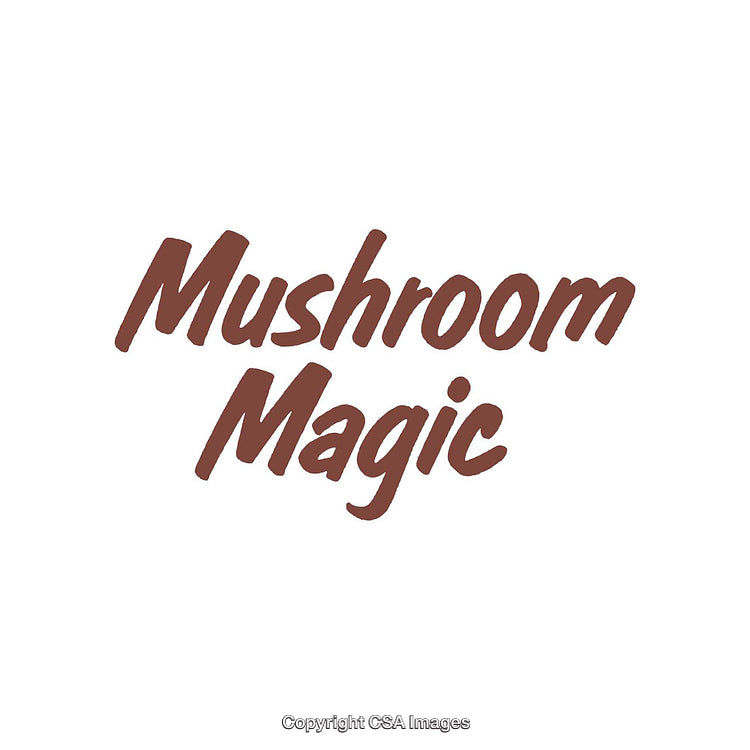 Stylized Text Depicting 'Mushroom Magic' in Bold Brown Font