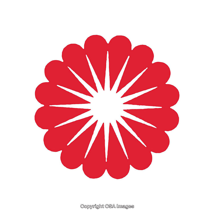 Red Radial Design with White Starburst on a Transparent Background
