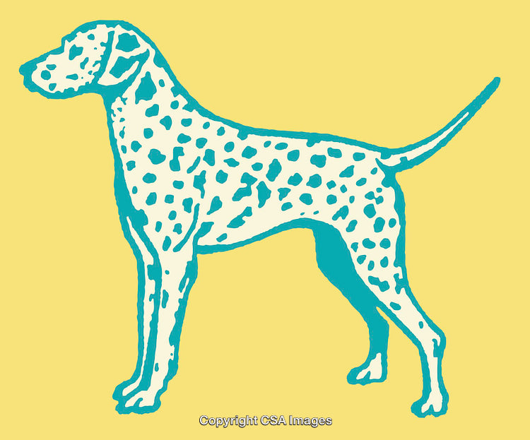 Colorful Dalmatian Dog Illustration with Yellow Background