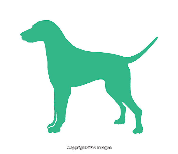 Silhouette of a Green Dog on a White Background