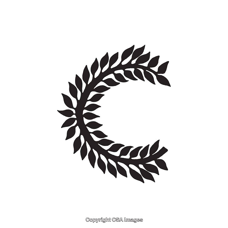 Modern Black Letter C in Artistic Laurel Leaf Design