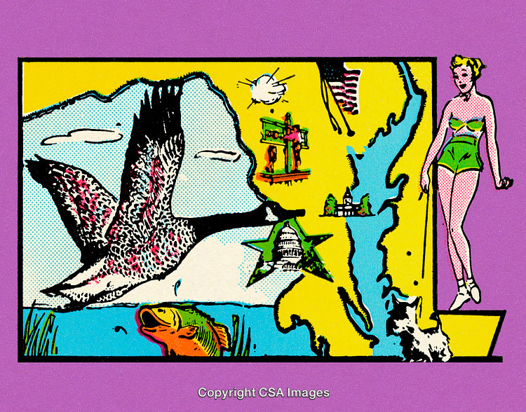 Colorful Pop Art Map Composition With Animals and Retro Elements