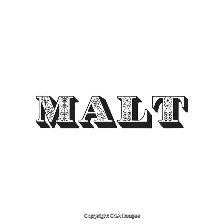 Stylized Vintage Typography Design Featuring Ornate Lettering for the Word 'Malt'