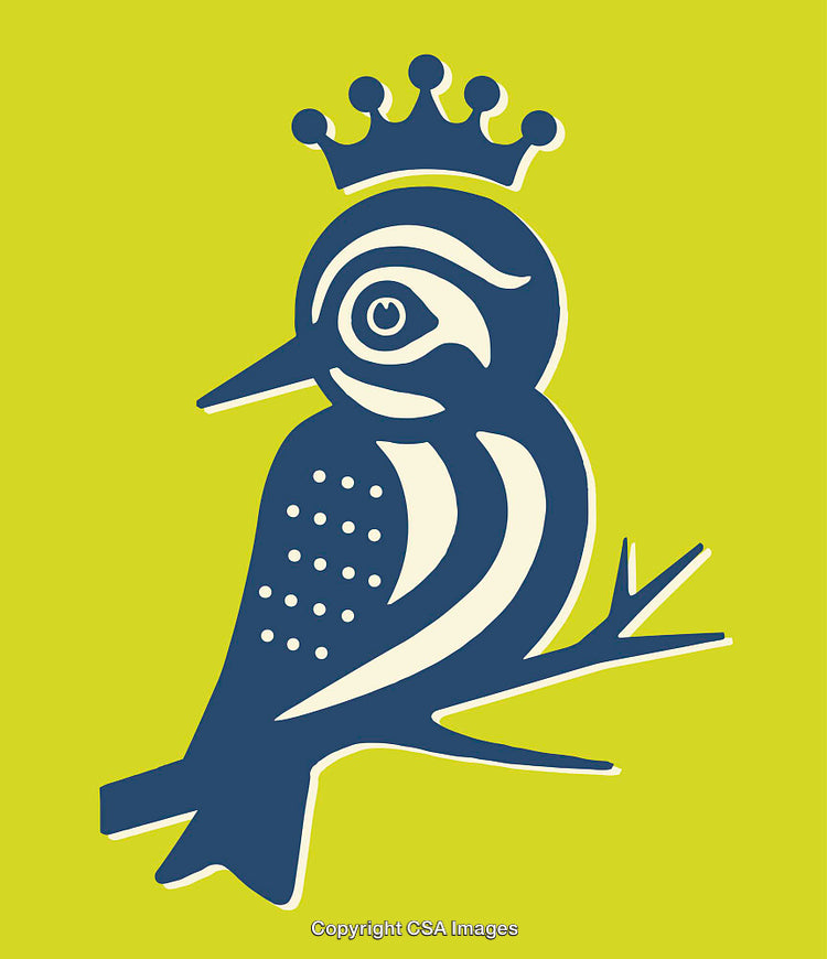 Colorful Line Art Illustration of a Bird with a Crown