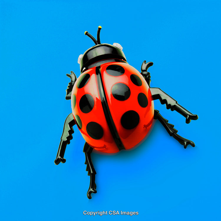Bright Red Plastic Ladybug Toy on Vivid Blue Background