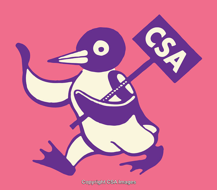 Illustration of a Penguin Holding a CSA Sign in Vibrant Colors