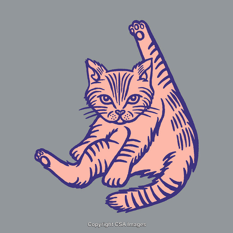 Illustration of a Cat Stretching in Playful Cartoon Style Line Art