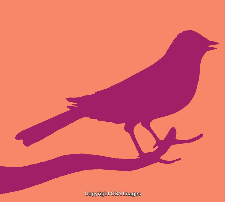 Silhouette of a Bird Perched on a Branch with Minimalist Design