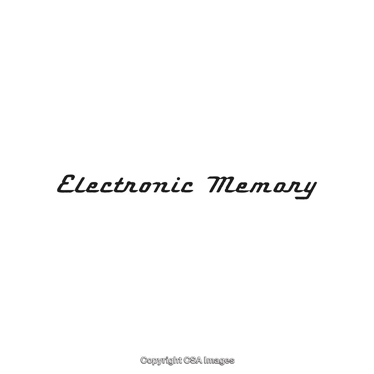 Elegant Cursive Font Displaying the Text 'Electronic Memory' in Style
