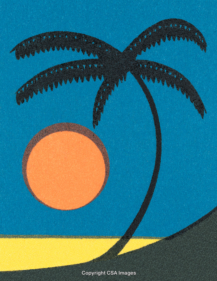 Minimalist Illustration of a Sunset Scene with Palm Tree and Ocean Horizon