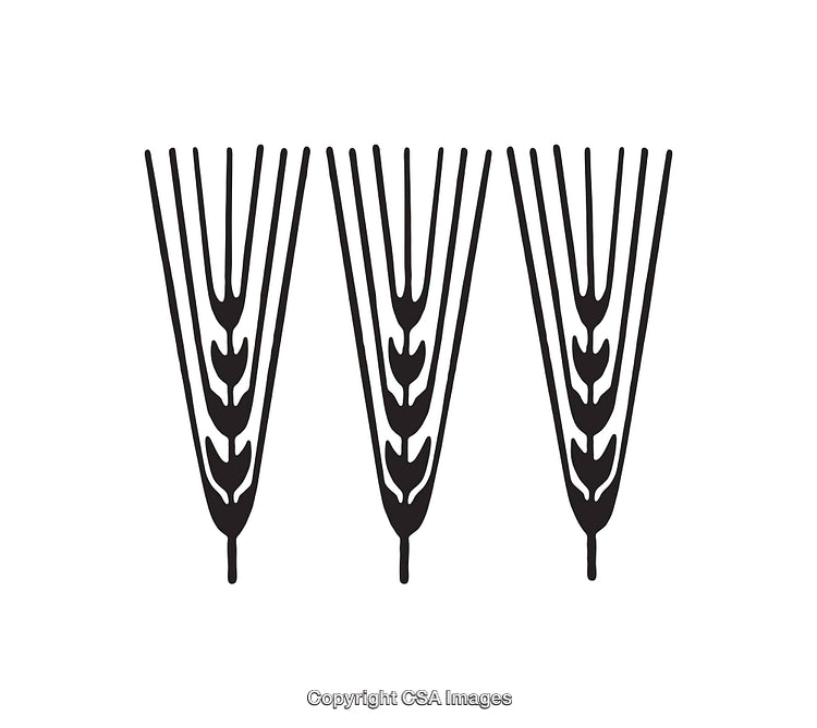 Black And White Icon Of Three Stylized Wheat Stalks In A Minimal Design
