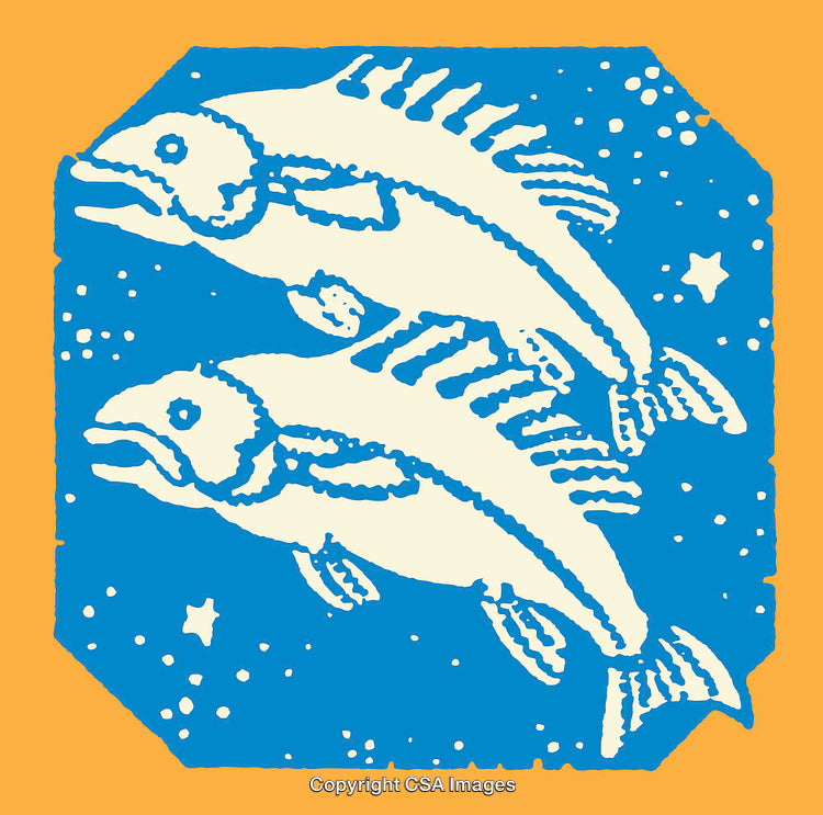Colorful Line Art Illustration of Two Fish with Stars and Orange Background