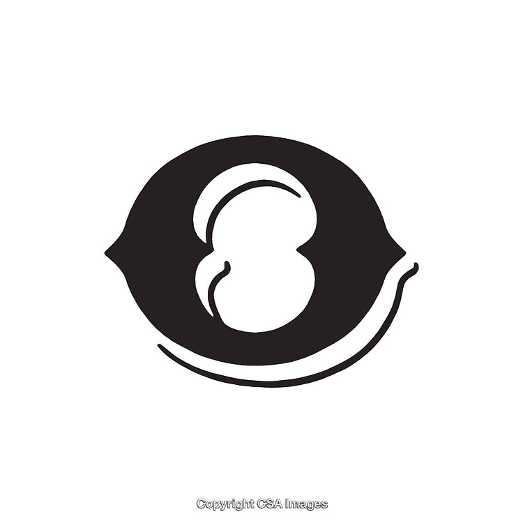 Black and White Minimalist Design of Cent Currency Symbol