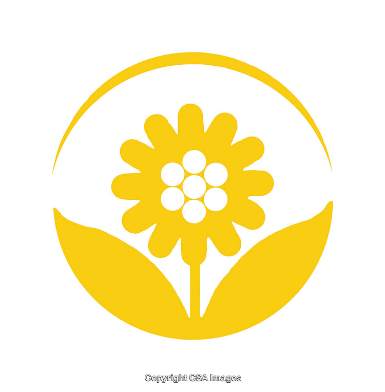 Yellow Flower Icon with Simplistic Design and Circular Border