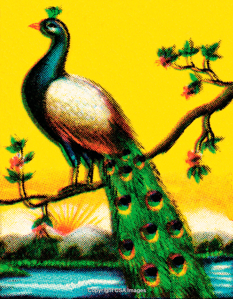 Vivid Illustration of a Peacock Perched on Tree Branch with a Sunrise