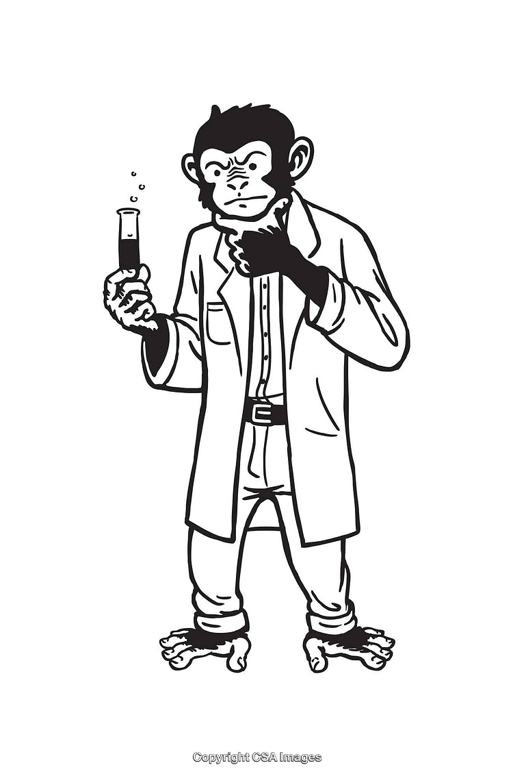 Chimpanzee Scientist Holding a Test Tube in Line Art Illustration