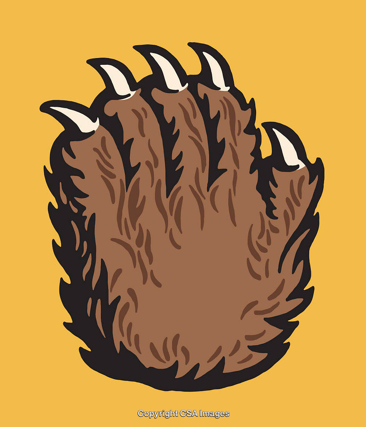 Color Line Art Illustration of a Bear Paw with Claws