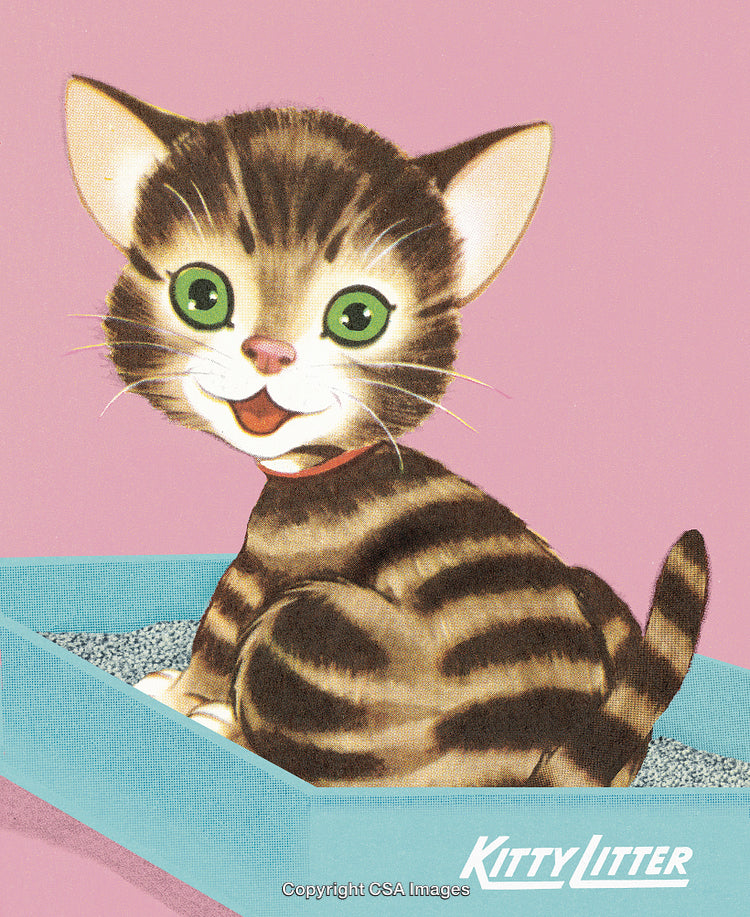 Illustration of a Striped Kitten Sitting Joyfully in a Colorful Litter Tray