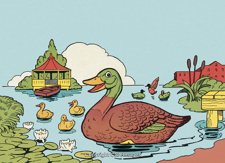 Colorful Ducks in a Pond with Surrounding Nature and a Gazebo