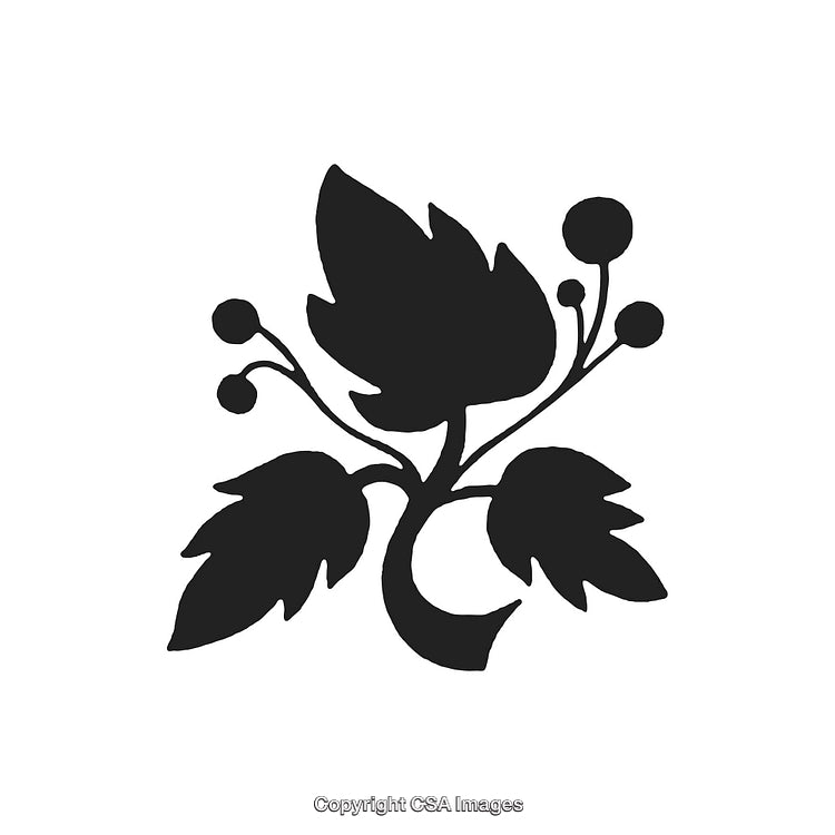 Black and White Decorative Botanical Design with Leaves and Berries