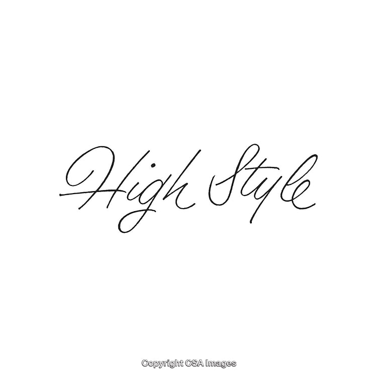 Elegant Handwritten Script Highlighting High Style in Minimalist Fashion