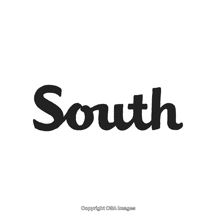 Handwritten Script Logo Design Featuring the Word South on a White Background