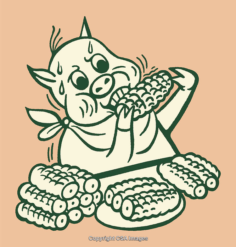 Illustration of a Pig Eating Corn on the Cob With Excitement