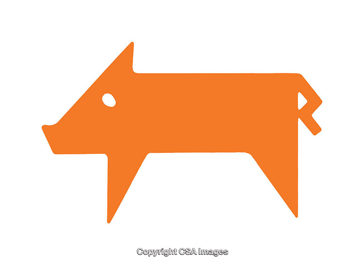 Minimalist Orange Geometric Pig Illustration Isolated on White Background