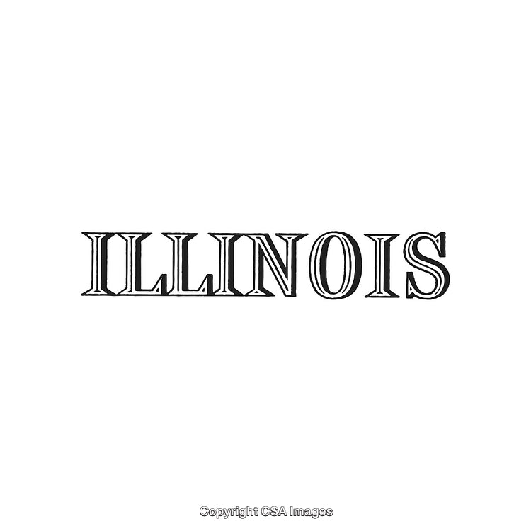 Elegant Black and White Stylized Text Depicting Illinois State Name