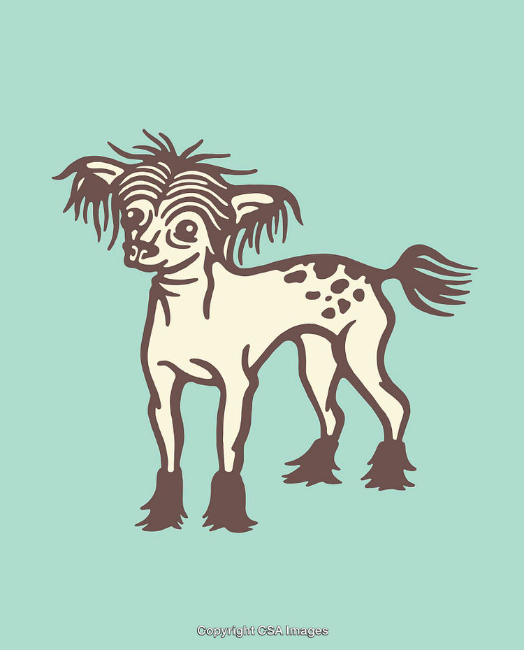 Illustration of a Unique Dog Character in Line Art Style on Aqua Background