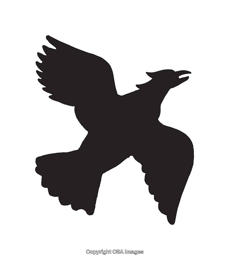 Silhouette of a Flying Bird Against a Solid White Background