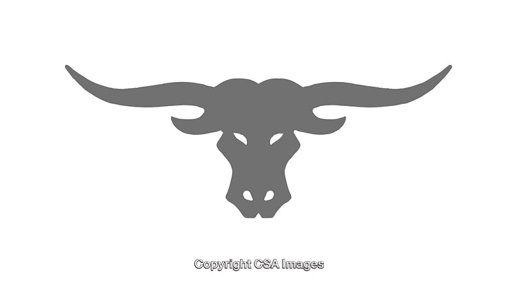 Simple Silhouette of Bull Head Icon with Long Angular Horns