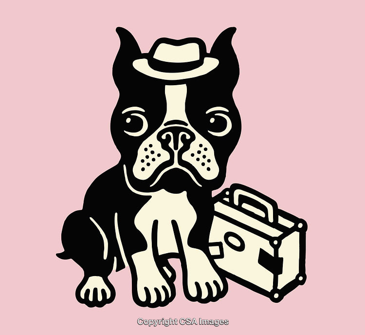 Stylized Illustration of a Dog with a Hat and Suitcase