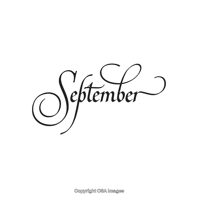 Elegant Calligraphic Design Featuring the Word 'September' on a White Background