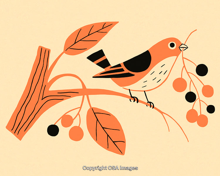 Stylized Illustration of a Bird Perched on a Branch with Berries