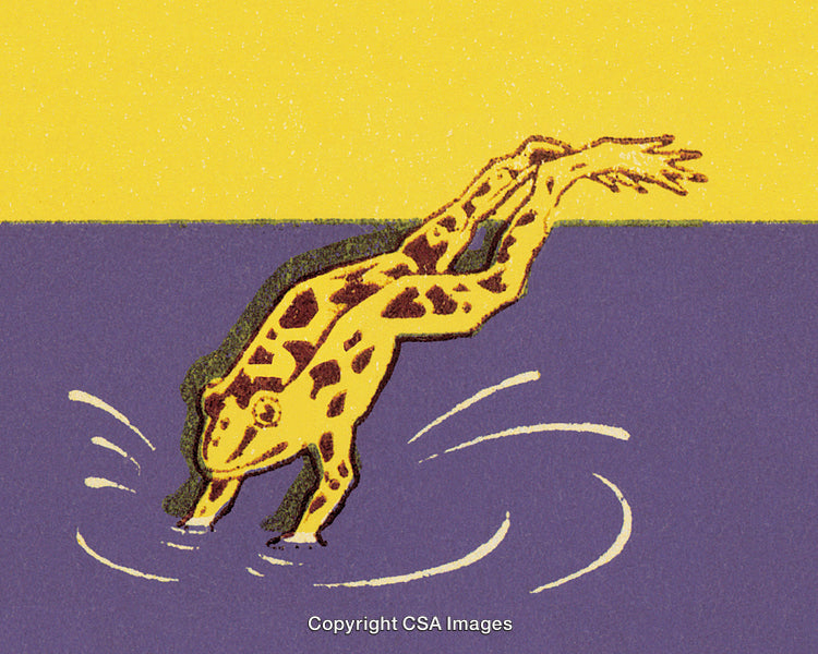 Colorful Illustration of a Frog Jumping Into Pond Water with Vibrant Background