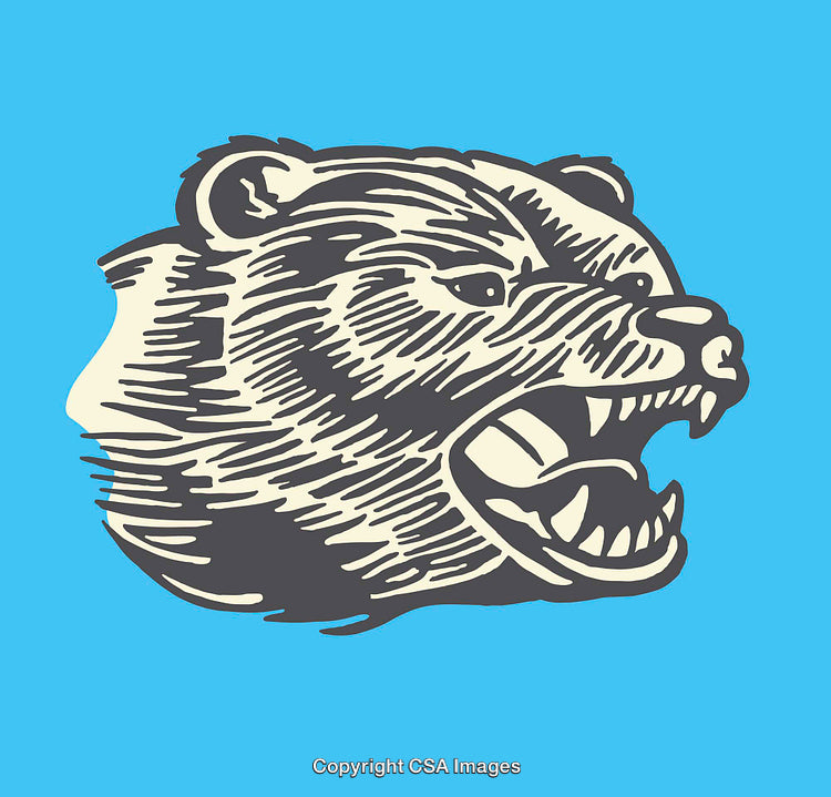 Vector Illustration of Roaring Bear in Vibrant Color Style