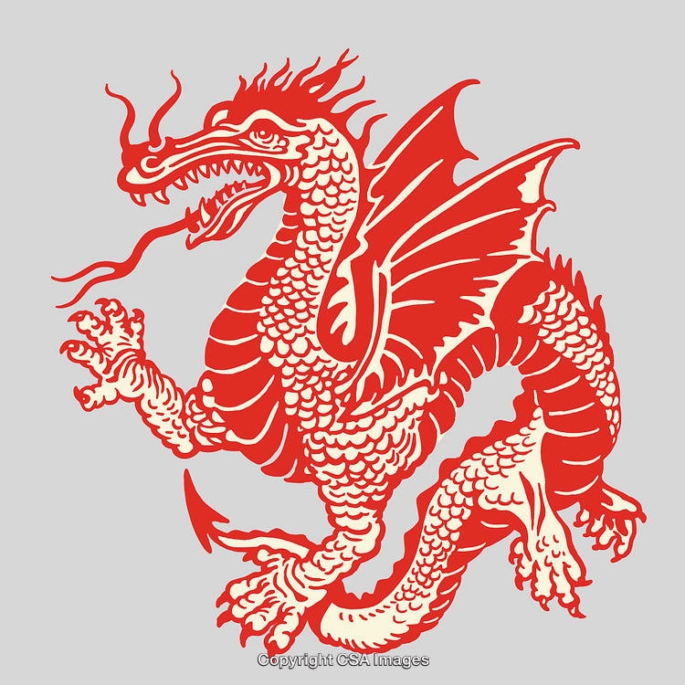 Red Dragon Line Art Illustration in Profile Perspective