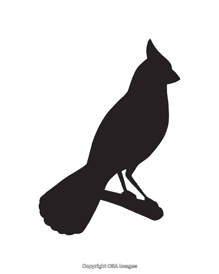 Silhouette of a Bird Perched on a Branch in Minimalist Style