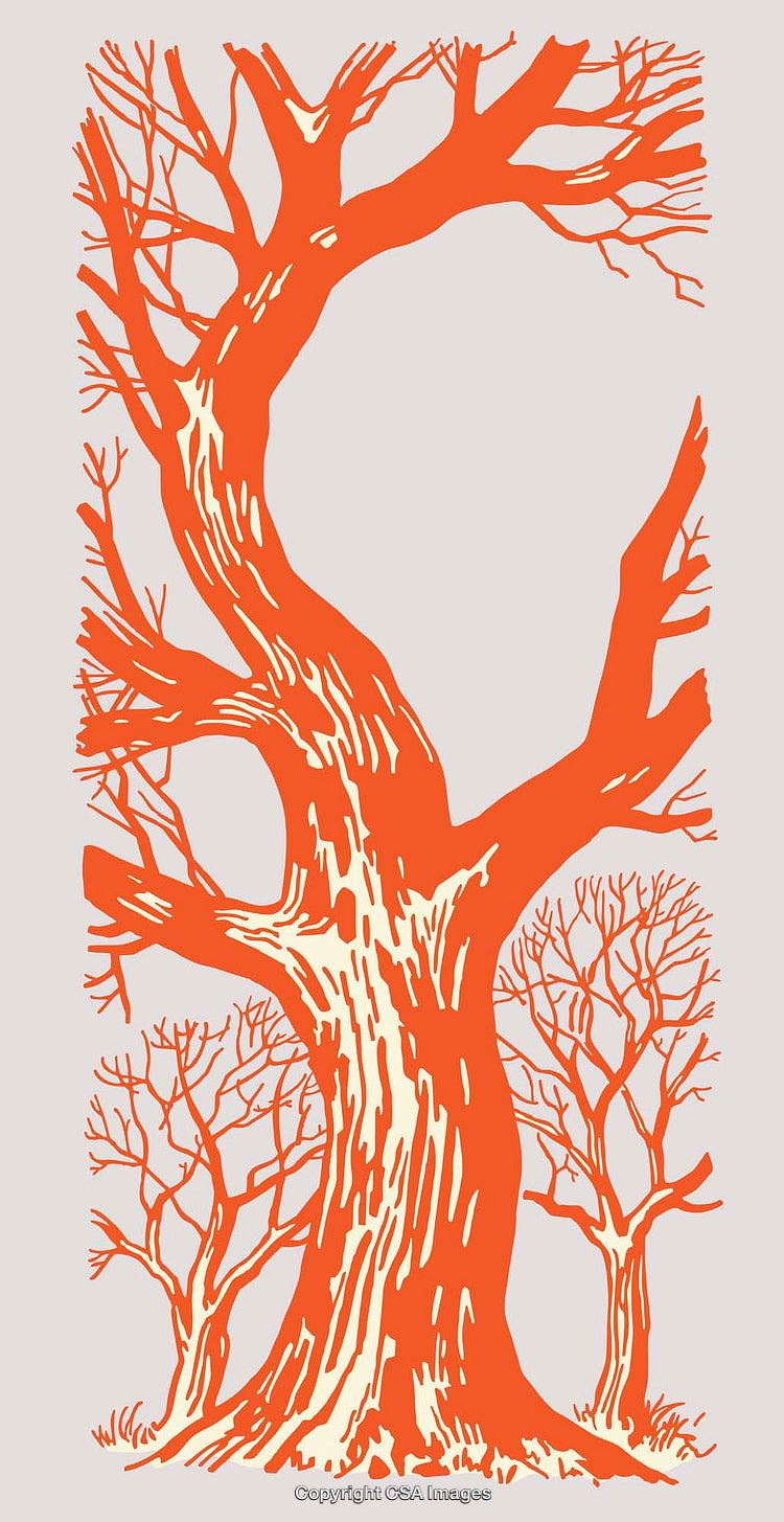 Detailed Line Art Illustration of a Bare Tree in Vibrant Orange and Cream