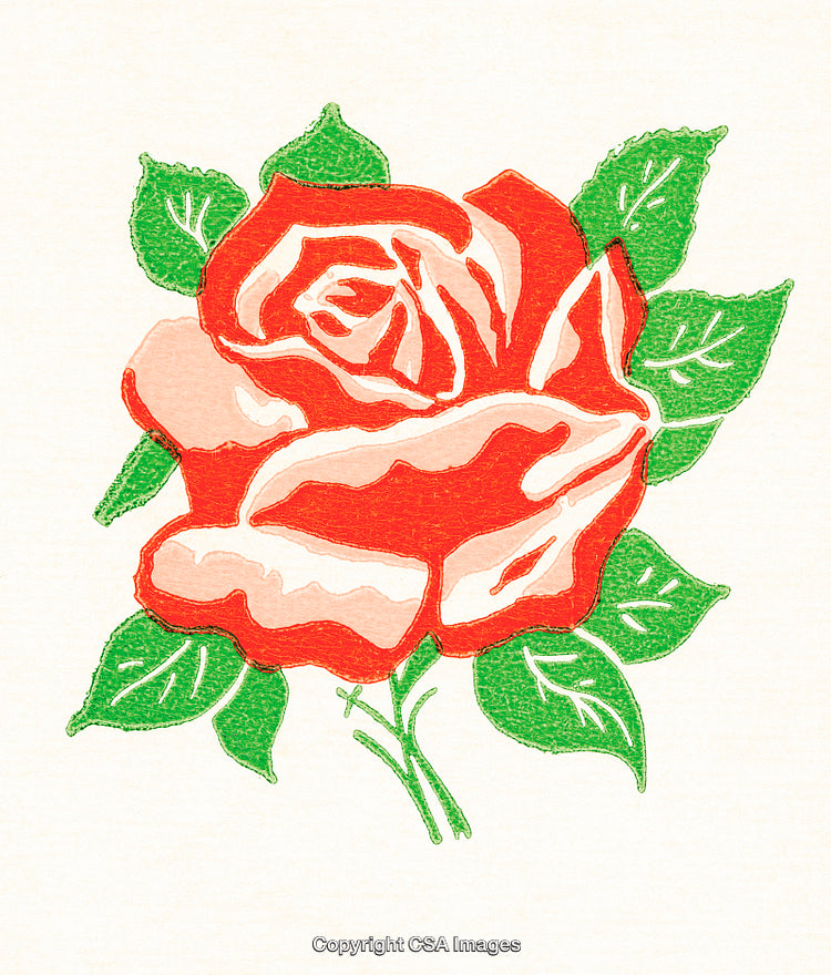 Detailed Illustration of a Red Rose with Vibrant Green Leaves