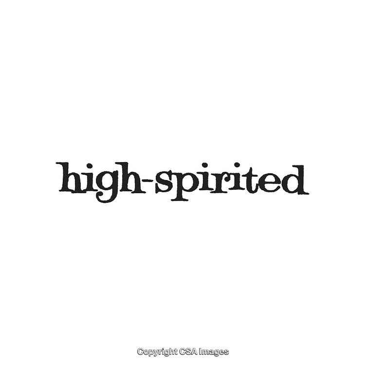 Bold Typographic Design Featuring the Word High-Spirited in Black on White