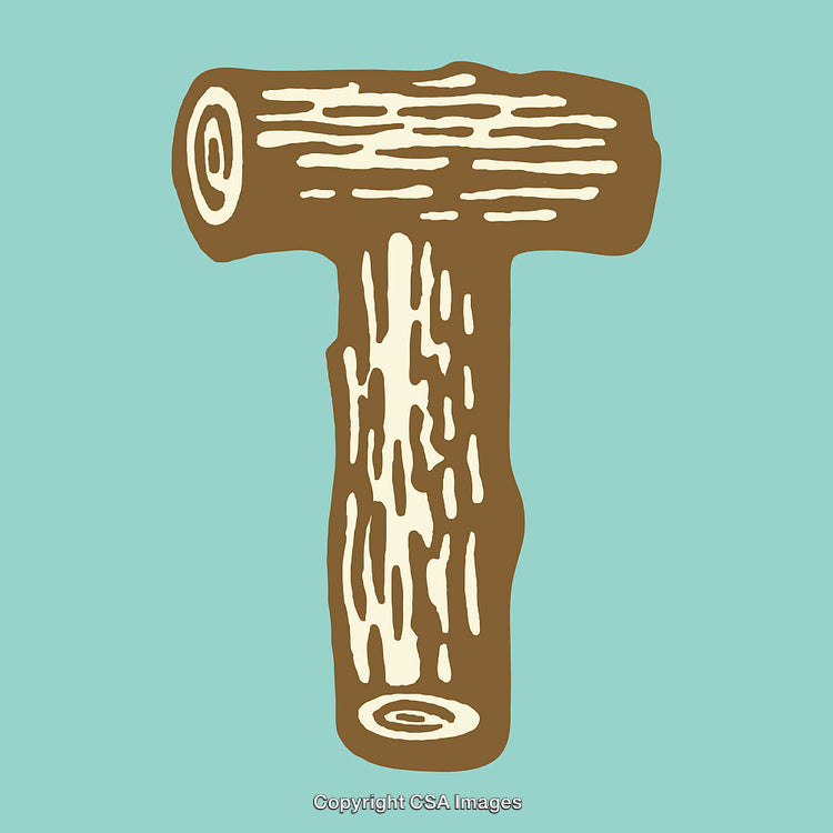 Rustic Wooden Letter T on a Light Blue Background