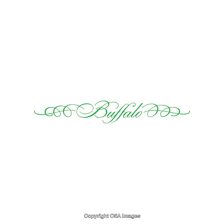 Elegant Green Cursive Typography with Decorative Swirls on White Background