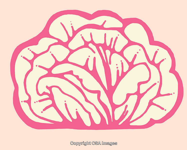 Stylized Pink Brain Illustration with Simple Line Art Design