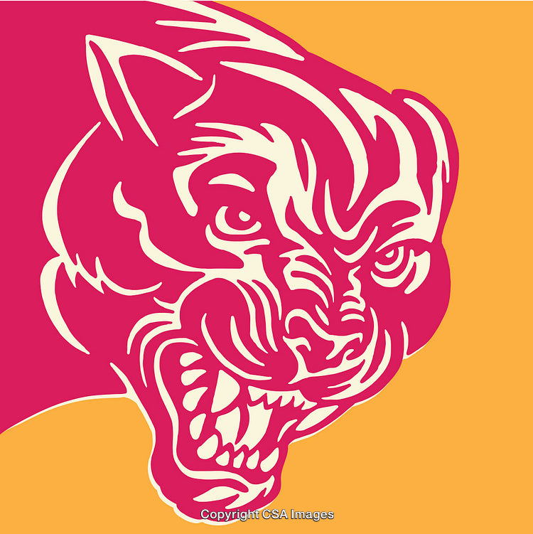 Colorful Illustrated Tiger with Bold Line Art in Vibrant Colors
