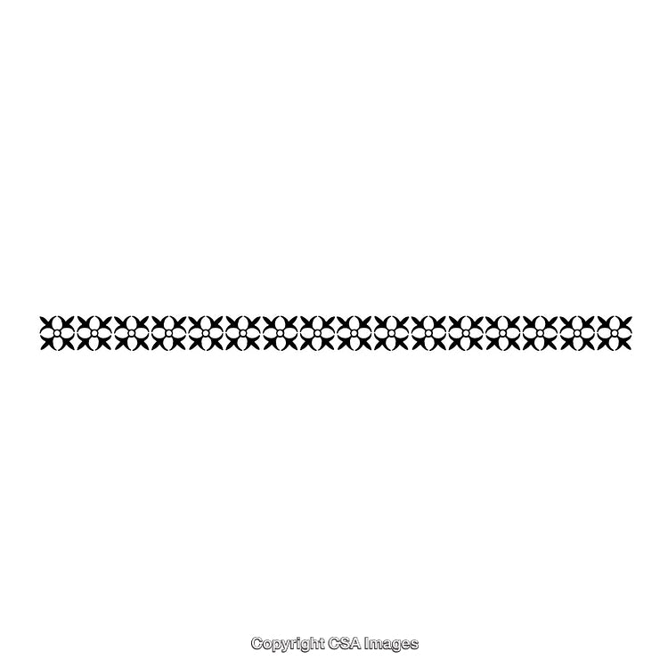 Intricate Black and White Decorative Border Isolated on White Background